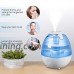 Cool Mist Humidifier – 0.5 gallon/2L Ultrasonic Air Humidifier with Low/High Mist Levels  3-Timer Settings and Night Light  Auto Shut-off Function Safe and Ideal for Baby  Kids and 350sqf Rooms - B07FZFSV2C
